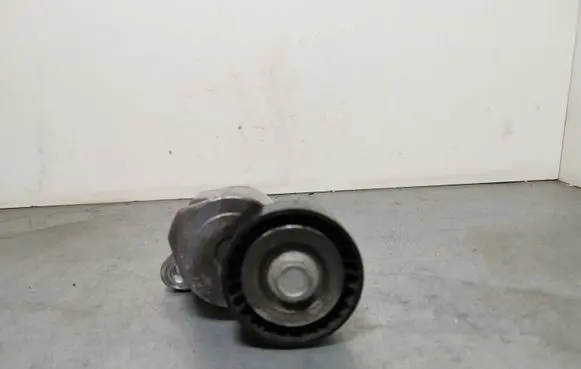 Jeep Compass Generator/alternator belt tensioner AA3830