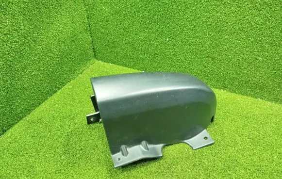 Rear/tail light trim molding