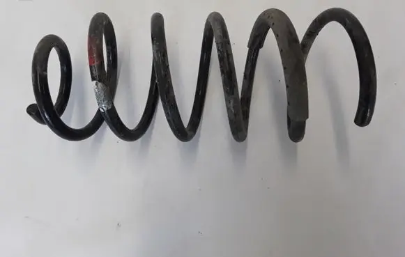 Front coil spring