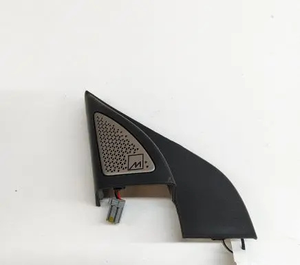Front door speaker