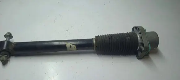 Land Rover Range Rover Sport L494 Rear shock absorber/damper CPLA18A024AB