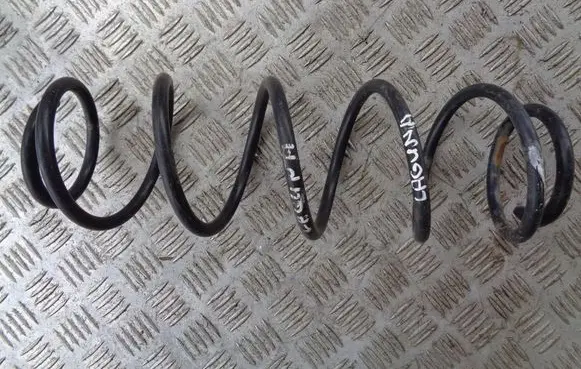Rear coil spring