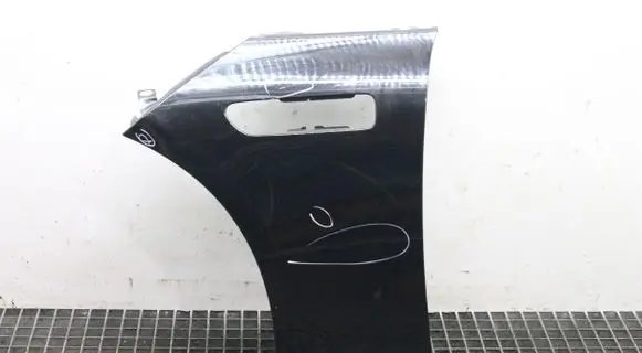 Mercedes-Benz EQS V297 Fender 197