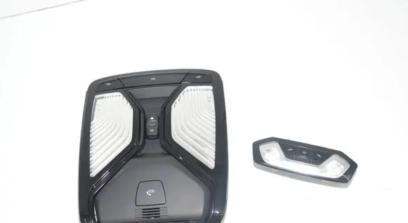 BMW 3 G20 G21 Front seat light 9875368 9490431 63319490431