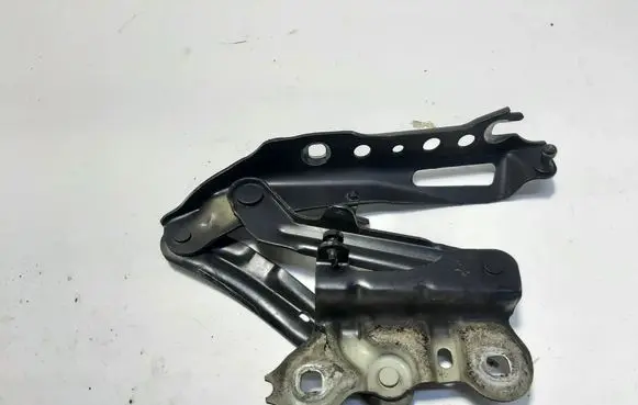 Skoda Superb B8 (3V) Engine bonnet/hood hinges 3V0823301