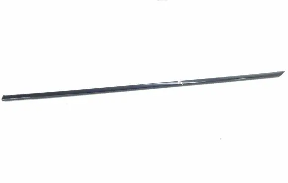 Citroen DS5 Front door glass trim molding