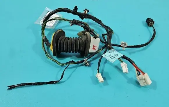 Rear door wiring loom