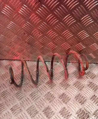 Rear coil spring