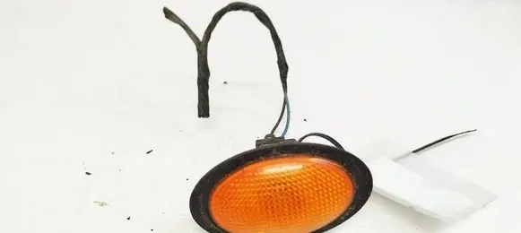Ford Fiesta Front fender indicator light
