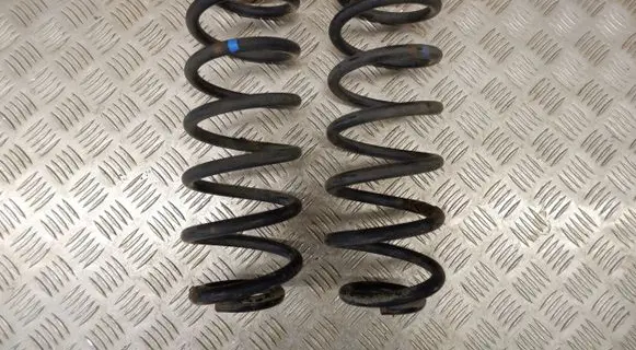 Volkswagen Tiguan Rear coil spring