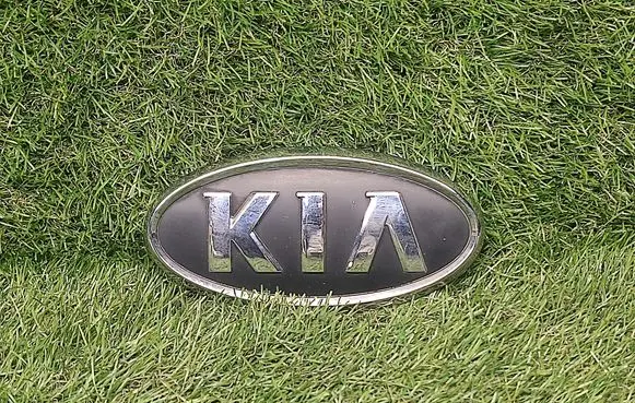 Manufacturer badge logo/emblem