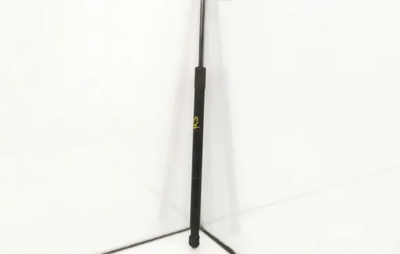 Tailgate strut