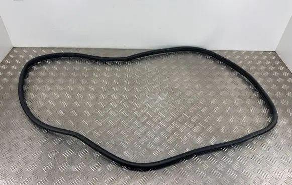 MG ZS Front door rubber seal 10229790