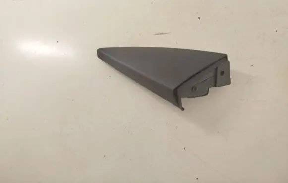 Other front door trim element