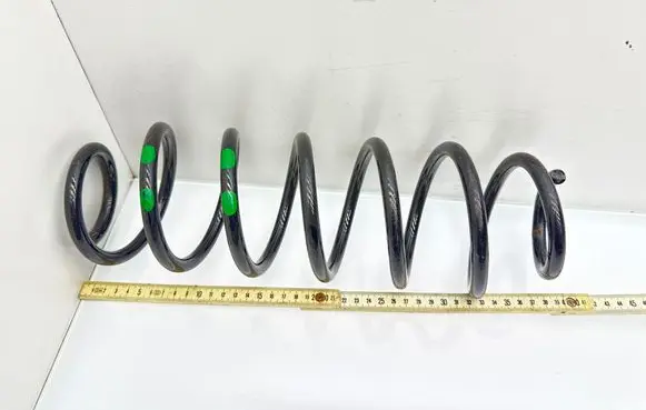 Rear coil spring