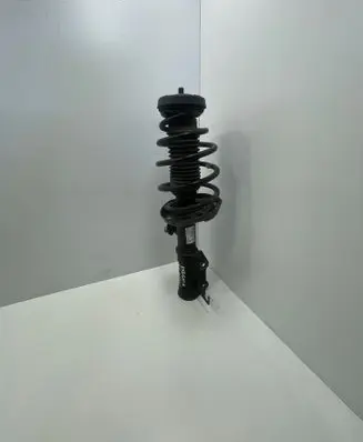 Opel Insignia A Front shock absorber with coil spring E4622501