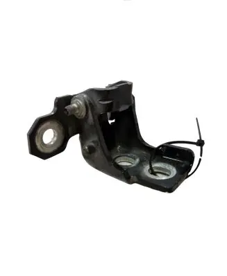 Renault Megane III Rear door upper hinge