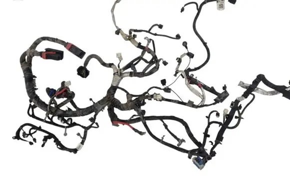 Chrysler Town & Country V Other wiring loom Z87801690 867AF