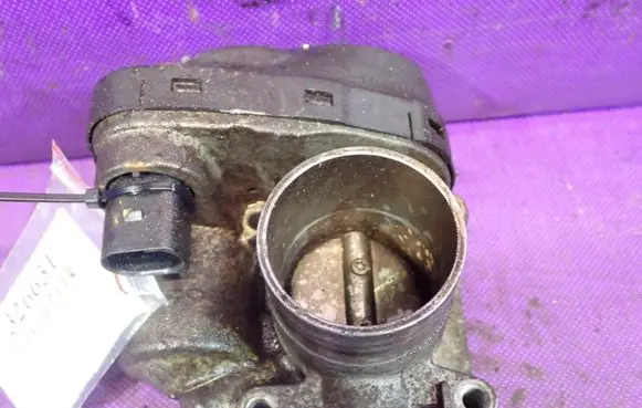 Volkswagen Polo Throttle body valve 