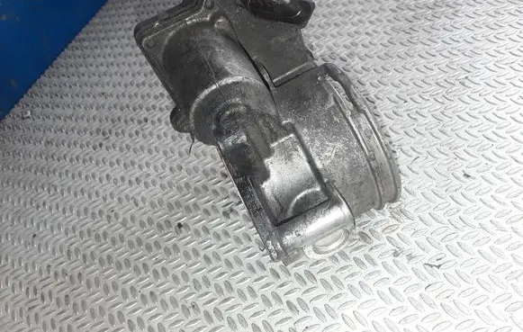 Skoda Fabia Mk2 (5J) Throttle valve A2C53249824 1011070411