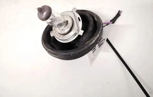 Dacia Sandero Rear tail light bulb 
