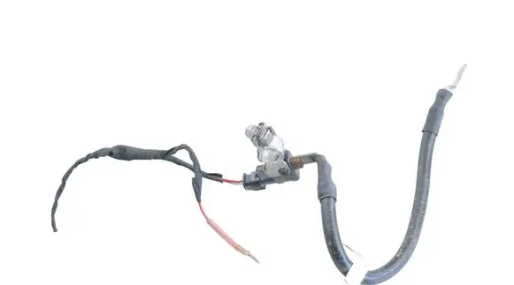 Volkswagen ID.3 Positive wiring loom 1EA915181