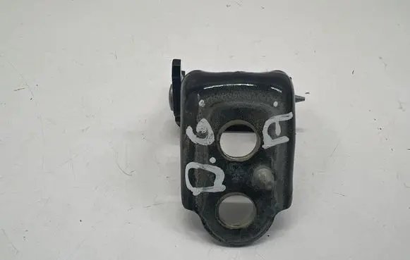 Rear door lower hinge