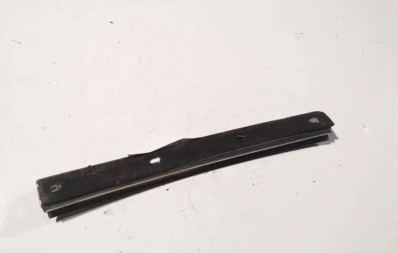 Hyundai Tiburon Front door glass trim molding 
