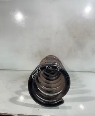 Rear coil spring