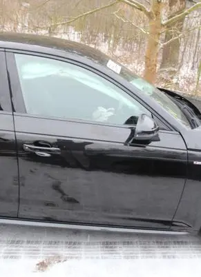 Audi A4 S4 B9 Front door