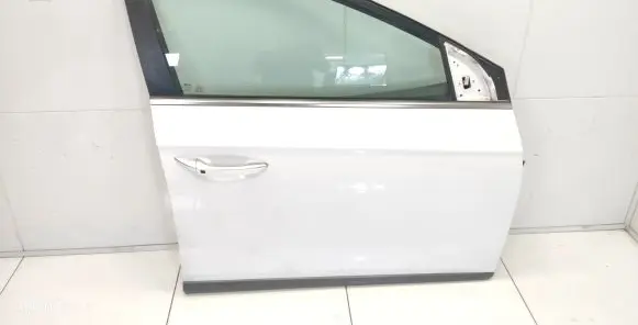 Hyundai Ioniq Front door