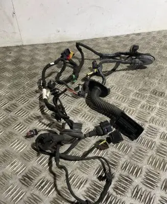 Audi A8 S8 D4 4H Rear door wiring loom 4H0971687CH 4AB010766SA