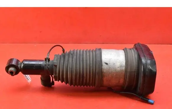 BMW iX3 G08 Rear shock absorber/damper 76689033002