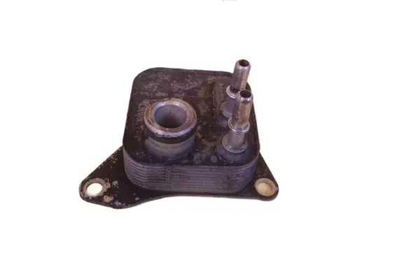 Land Rover Range Rover Sport L320 Engine oil radiator 276DT