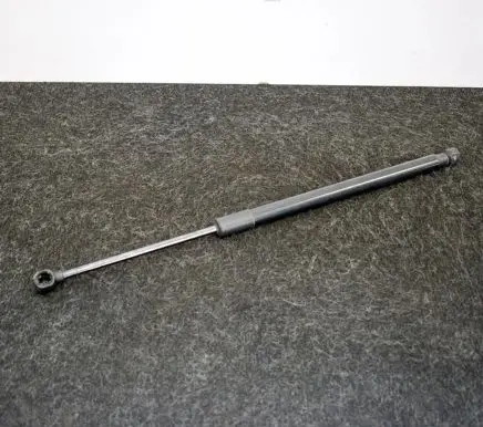 Tailgate/trunk strut/damper