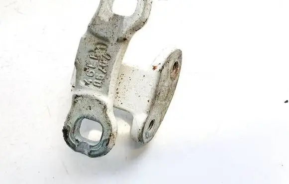 Rear door lower hinge