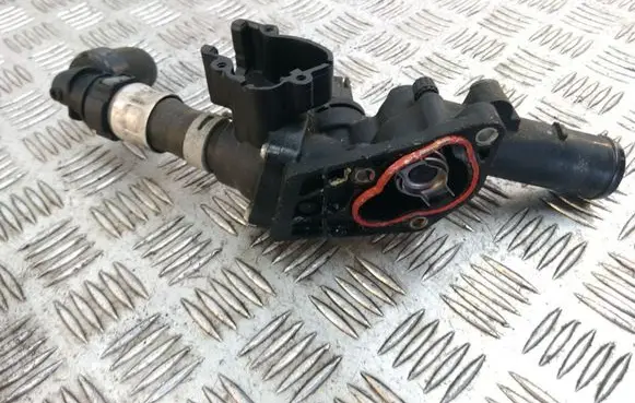 Thermostat/thermostat housing