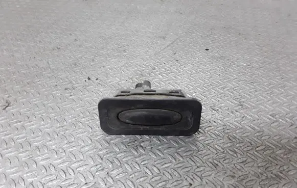 Renault Scenic II - Grand scenic II Loading door exterior handle 8200076256D