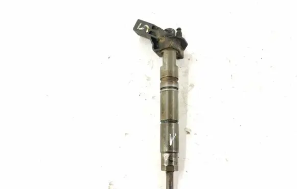 Mercedes-Benz R W251 Fuel injector 6420700587 6420701987