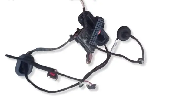 Volkswagen PASSAT B6 Rear door wiring loom 3C4971693QC