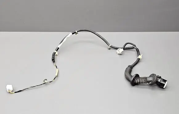 Rear door wiring loom