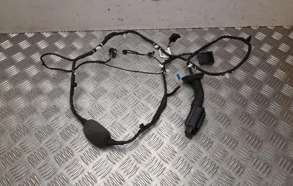 Front door wiring loom