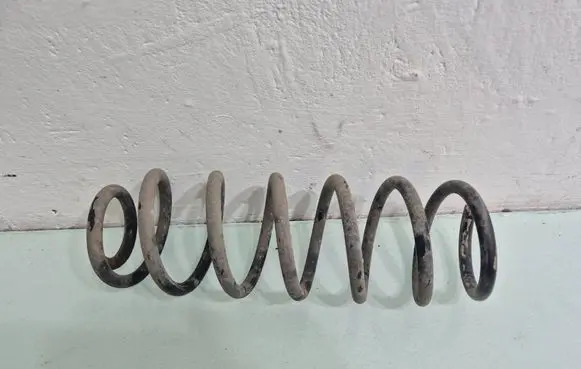 Renault Megane III Rear coil spring 