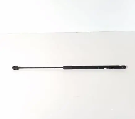 Tailgate strut