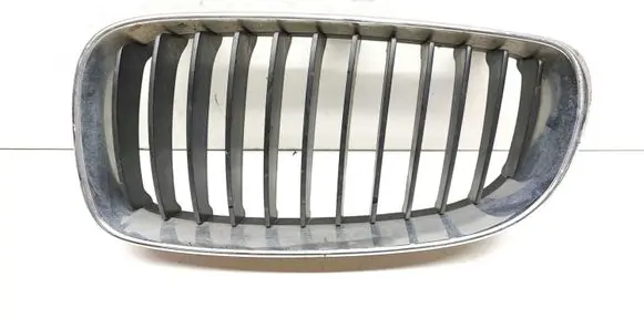Front bumper upper radiator grill