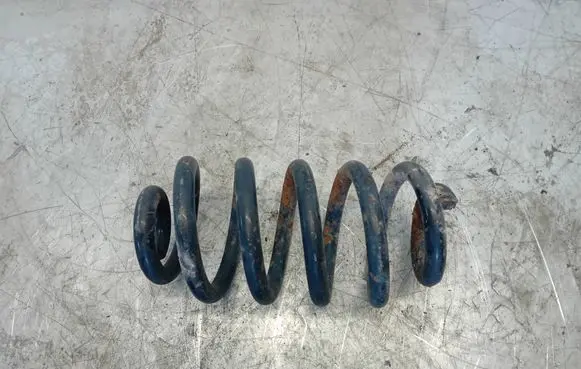 Rear coil spring
