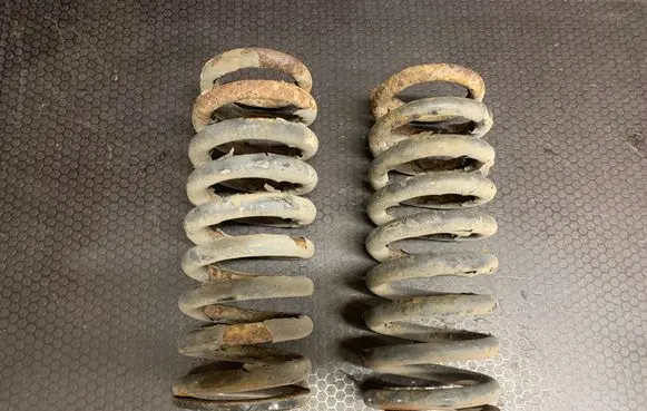 Rear coil spring