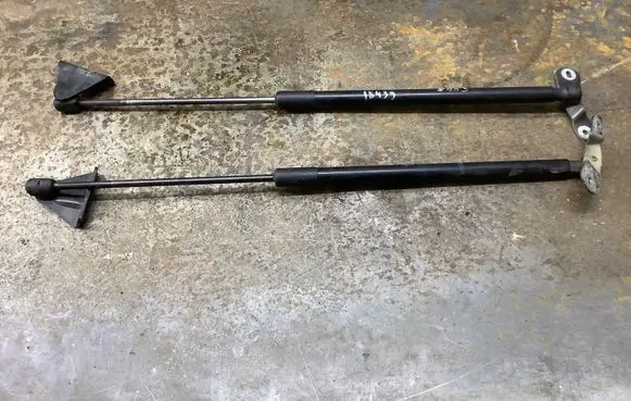 Tailgate/trunk strut/damper
