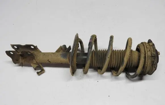 Nissan Qashqai Rear shock absorber with coil spring K9KH282