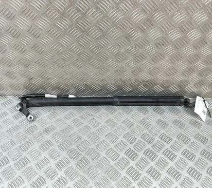 Lexus NX Tailgate/trunk strut/damper 6891078022